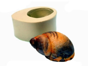Molde Caramujo Gordo 